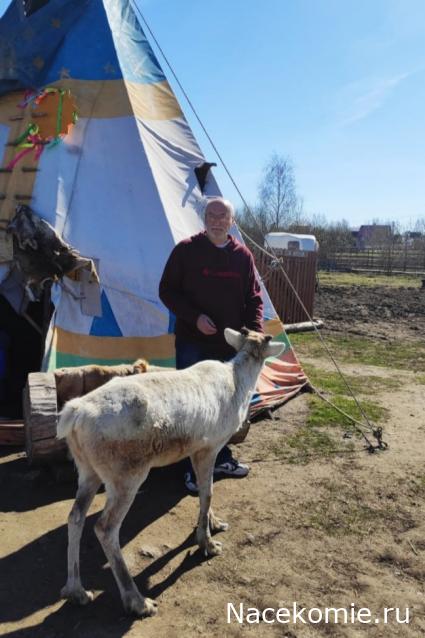 "Живой уголок"