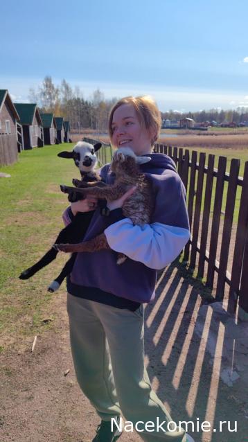 "Живой уголок"