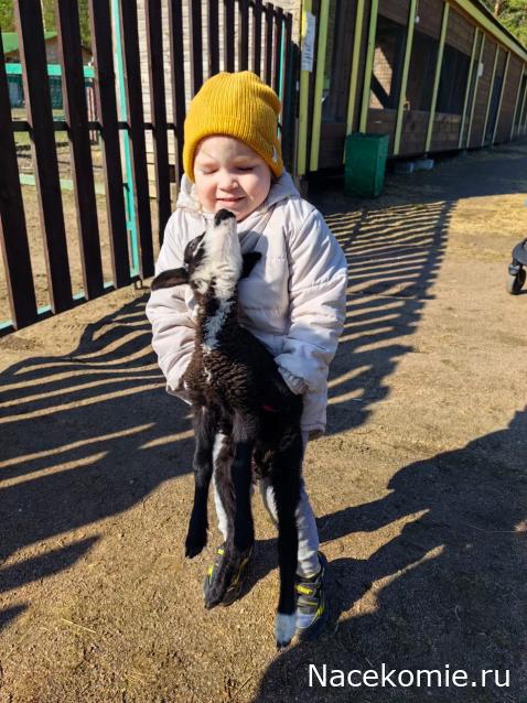 "Живой уголок"