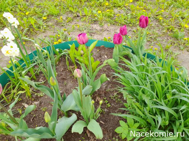 "Живой уголок"