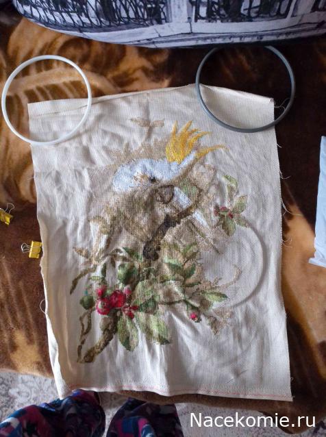 100 крестиков!