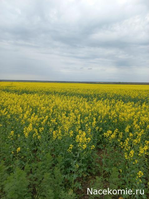 Тракторная болталка