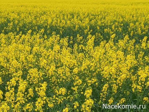 Тракторная болталка