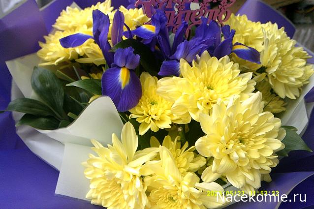 Eva1949 - Дом мечты-души моей воспоминания; 1Abrikoska - Мой гостеприимный дом