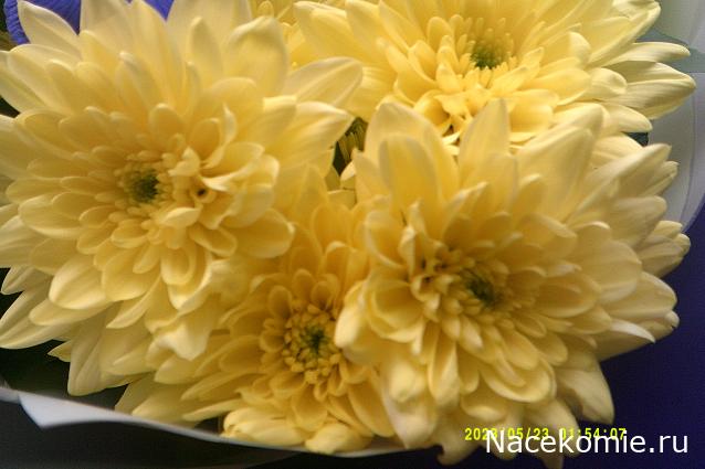 Eva1949 - Дом мечты-души моей воспоминания; 1Abrikoska - Мой гостеприимный дом