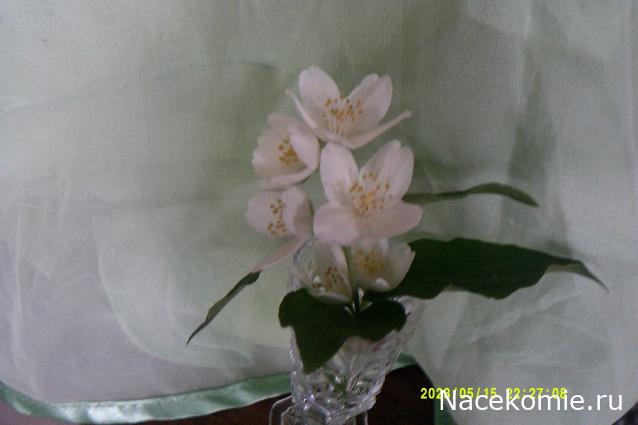 Eva1949 - Дом мечты-души моей воспоминания; 1Abrikoska - Мой гостеприимный дом