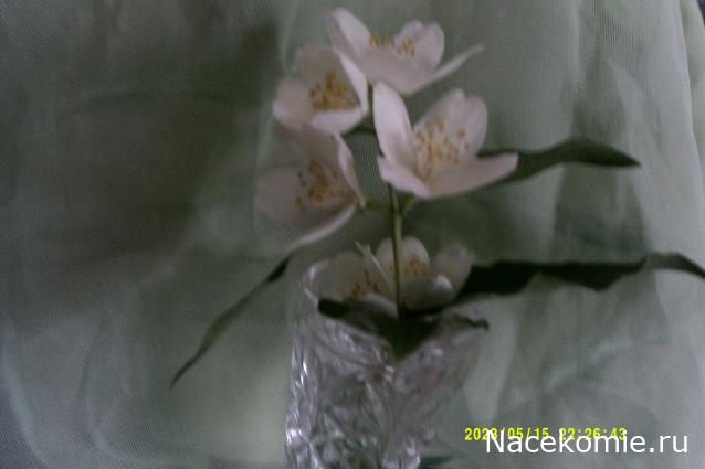 Eva1949 - Дом мечты-души моей воспоминания; 1Abrikoska - Мой гостеприимный дом