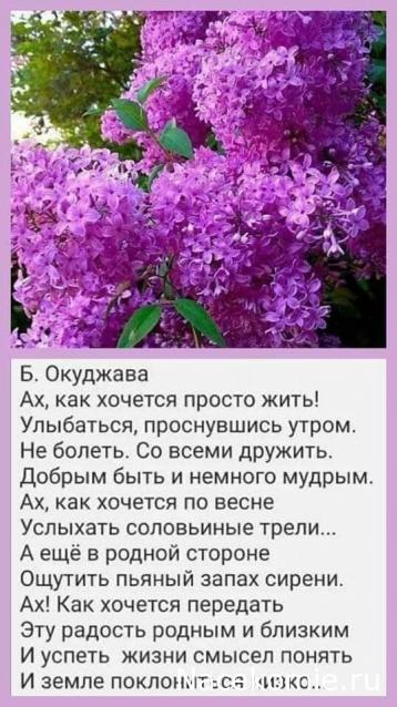 Liana65-Snegana - Мой будущий дом и его обитатели.