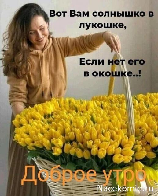 Liana65-Snegana - Мой будущий дом и его обитатели.