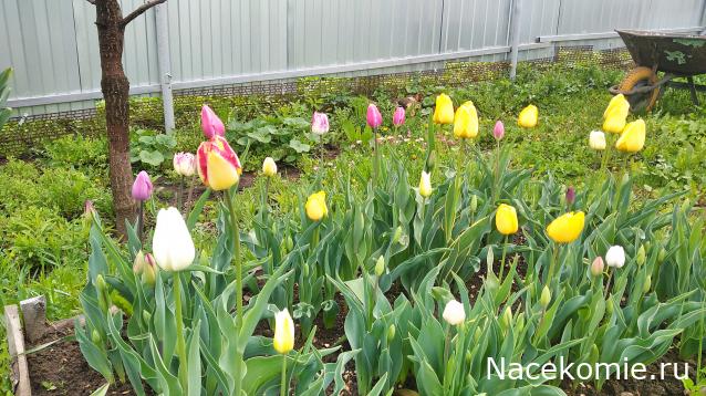 "Живой уголок"