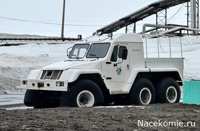 Автолегенды вживую