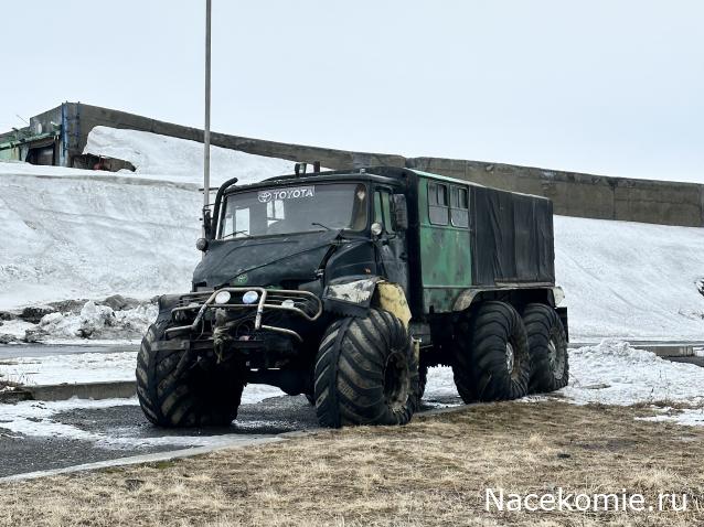 Автолегенды вживую