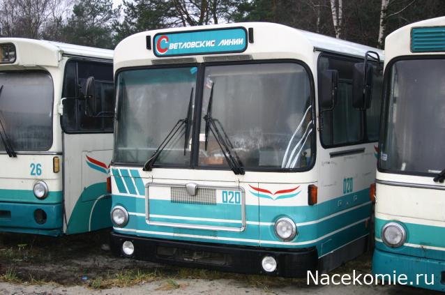 Наши Автобусы - График выхода и обсуждение