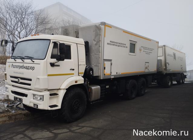 Автолегенды вживую