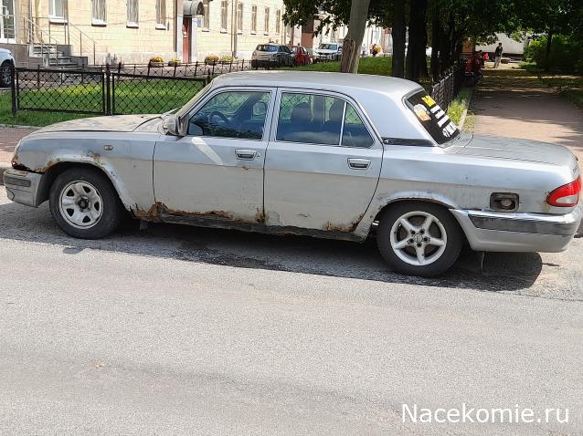 Автолегенды вживую