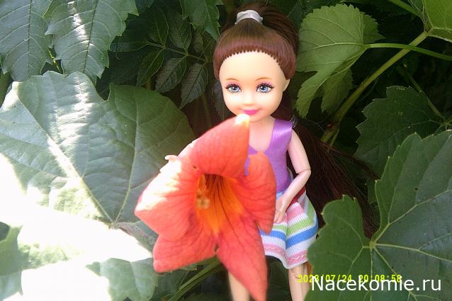 Eva1949 - Дом мечты-души моей воспоминания; 1Abrikoska - Мой гостеприимный дом