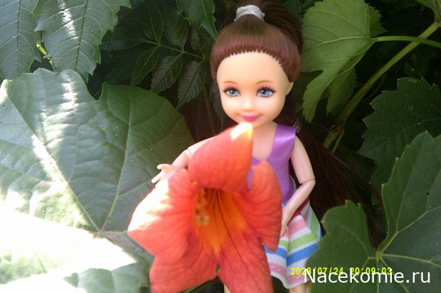 Eva1949 - Дом мечты-души моей воспоминания; 1Abrikoska - Мой гостеприимный дом