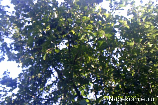 Eva1949 - Дом мечты-души моей воспоминания; 1Abrikoska - Мой гостеприимный дом