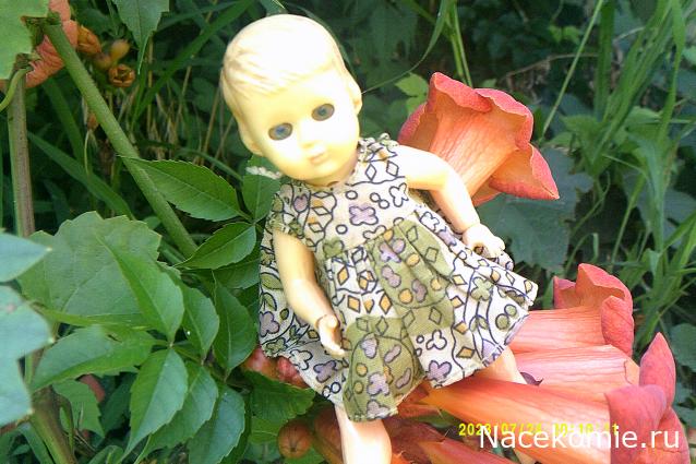 Eva1949 - Дом мечты-души моей воспоминания; 1Abrikoska - Мой гостеприимный дом