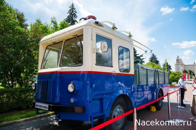 Околоавтобусная болталка