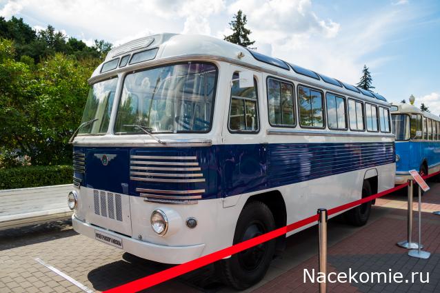 Околоавтобусная болталка