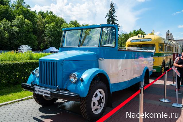 Околоавтобусная болталка