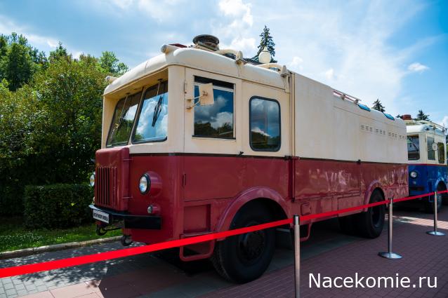 Околоавтобусная болталка