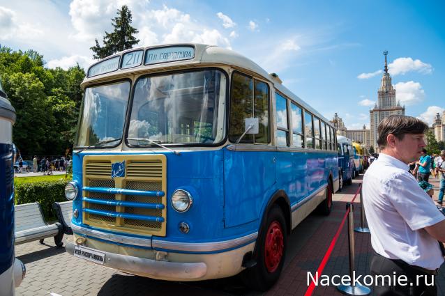 Околоавтобусная болталка
