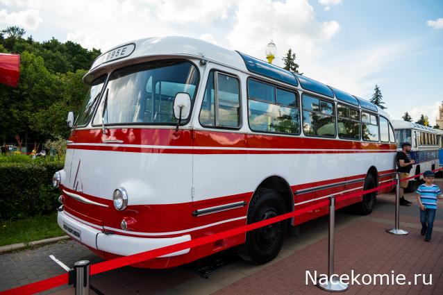 Околоавтобусная болталка