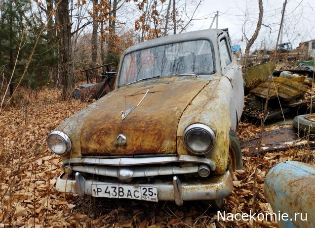 Автолегенды вживую