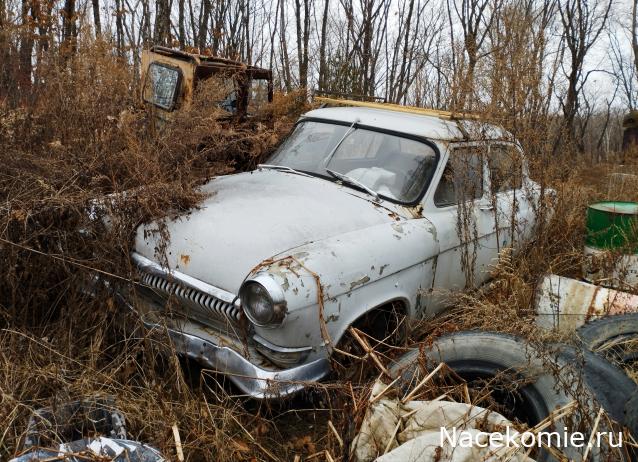 Автолегенды вживую