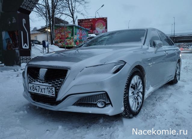 Автолегенды вживую