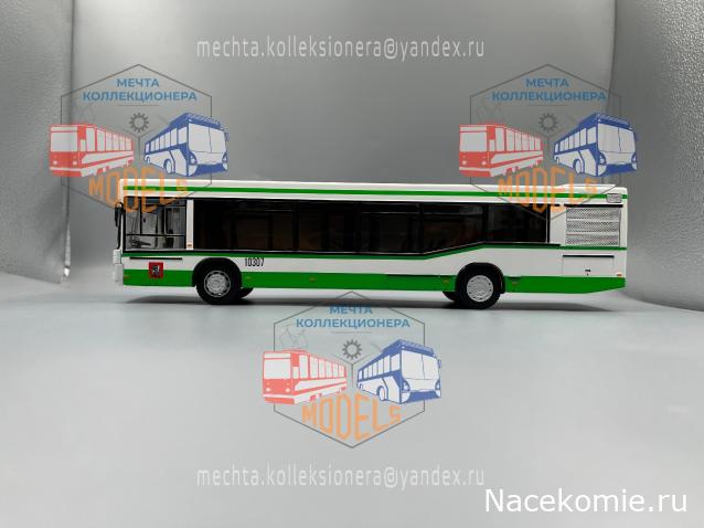 Околоавтобусная болталка
