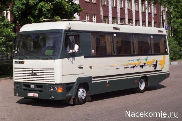 Околоавтобусная болталка