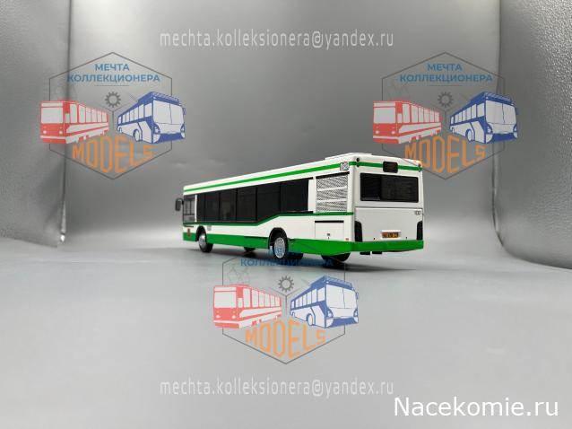 Околоавтобусная болталка
