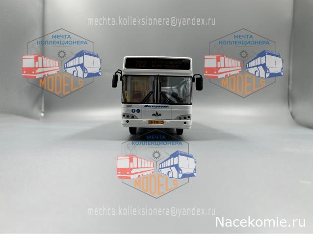 Околоавтобусная болталка