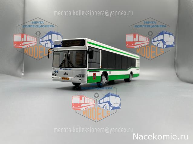 Околоавтобусная болталка