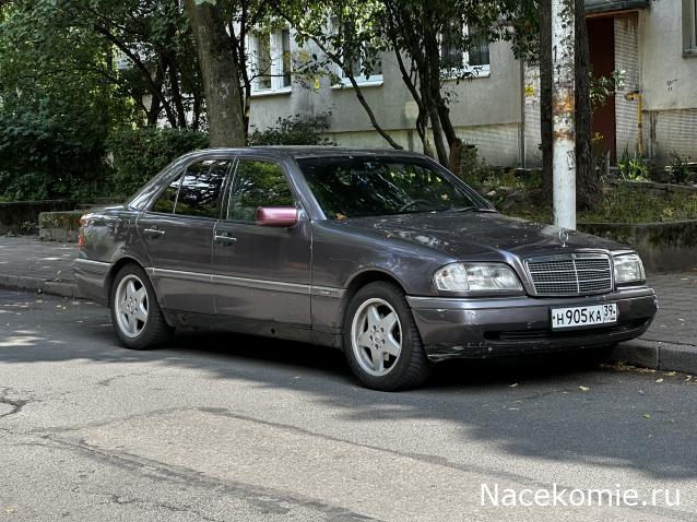 Автолегенды вживую