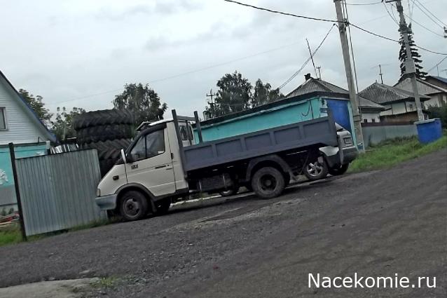 Автолегенды вживую