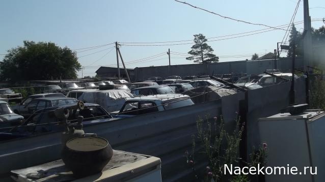 Автолегенды вживую