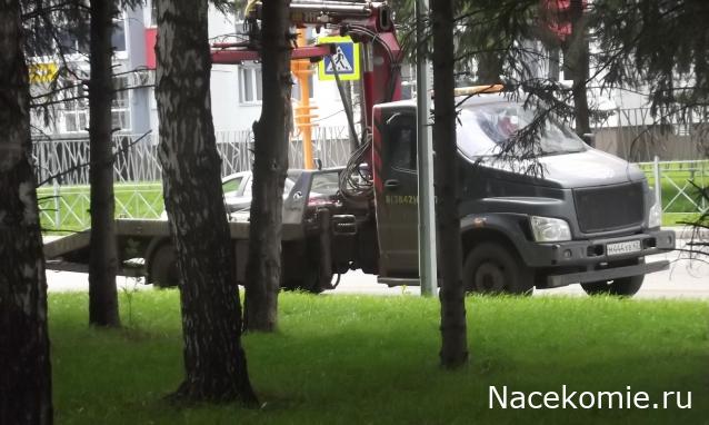 Автолегенды вживую