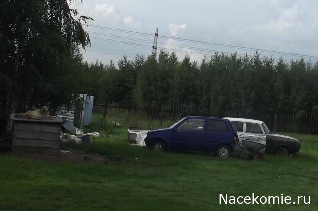 Автолегенды вживую