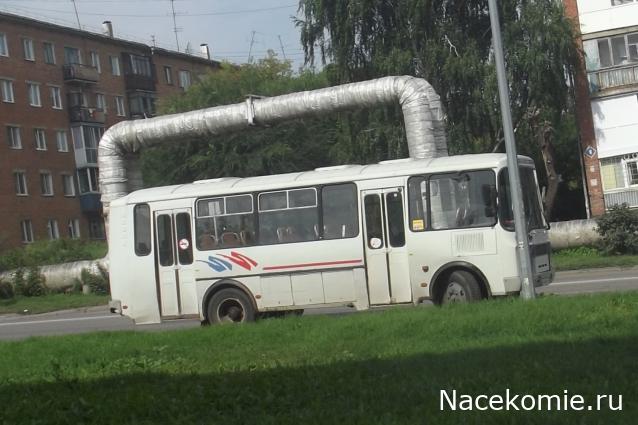 Автолегенды вживую