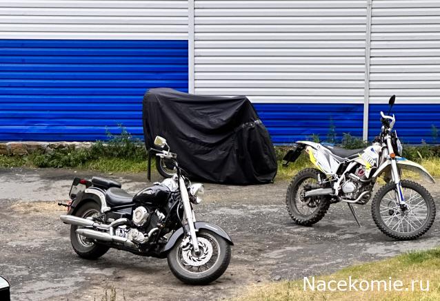 Автолегенды вживую