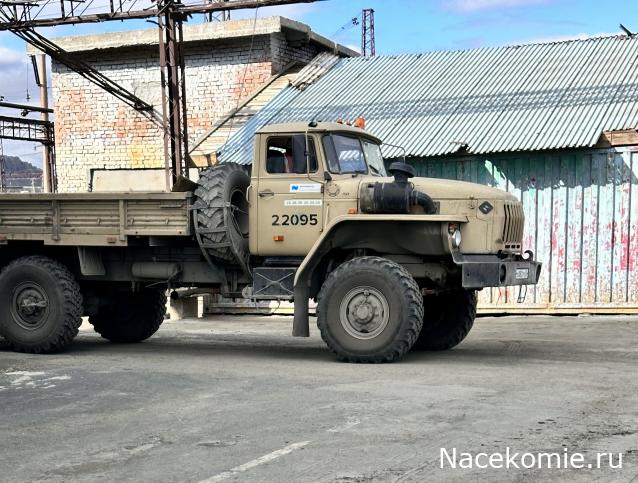 Автолегенды вживую