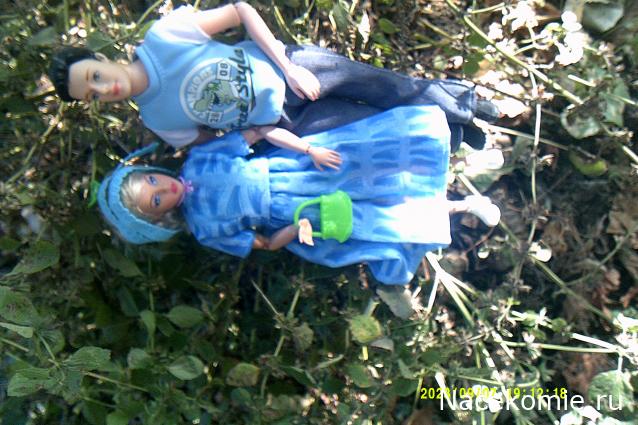 Eva1949 - Дом мечты-души моей воспоминания; 1Abrikoska - Мой гостеприимный дом