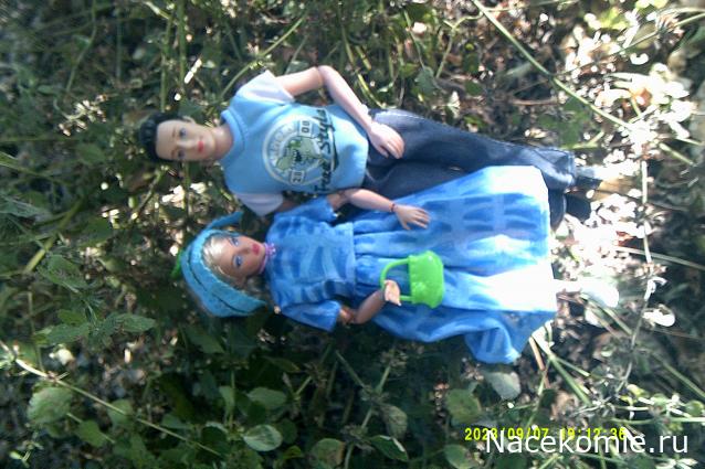 Eva1949 - Дом мечты-души моей воспоминания; 1Abrikoska - Мой гостеприимный дом