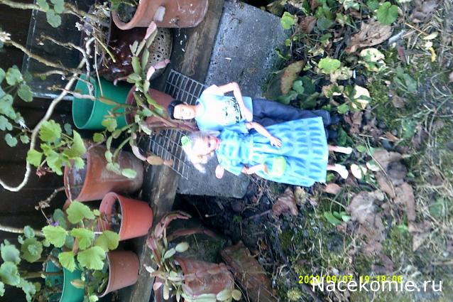 Eva1949 - Дом мечты-души моей воспоминания; 1Abrikoska - Мой гостеприимный дом