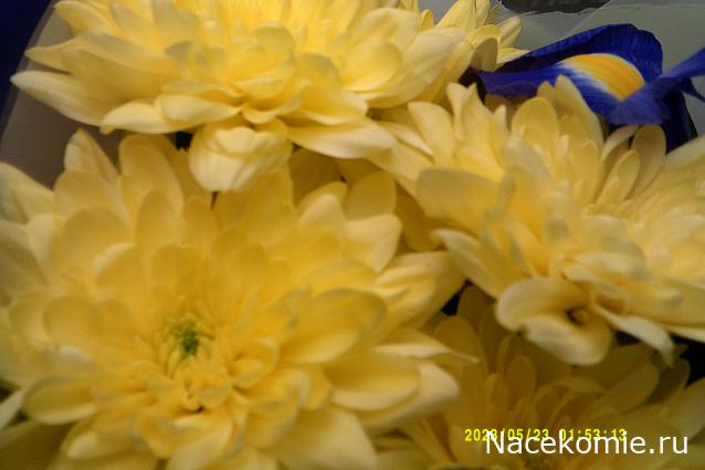 Eva1949 - Дом мечты-души моей воспоминания; 1Abrikoska - Мой гостеприимный дом