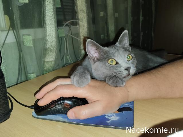 Eva1949 - Дом мечты-души моей воспоминания; 1Abrikoska - Мой гостеприимный дом